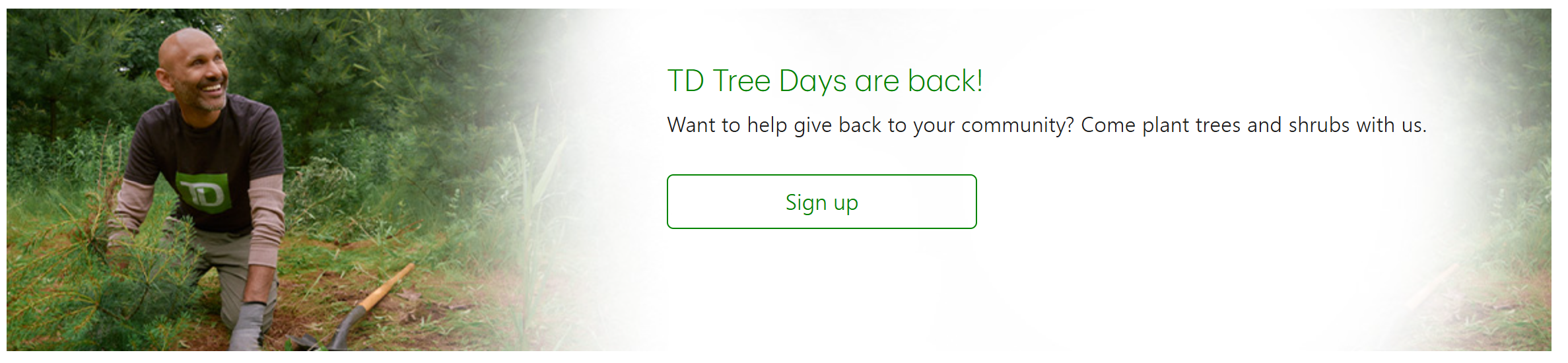 TD Tree Days